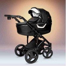 Детская коляска AGIO Kinderwagen Eco 3 в 1